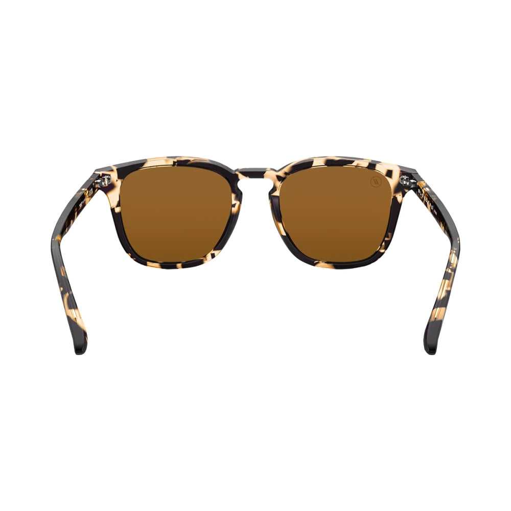 Blenders Eyewear Unisex Sydney Accessories in Brown Color