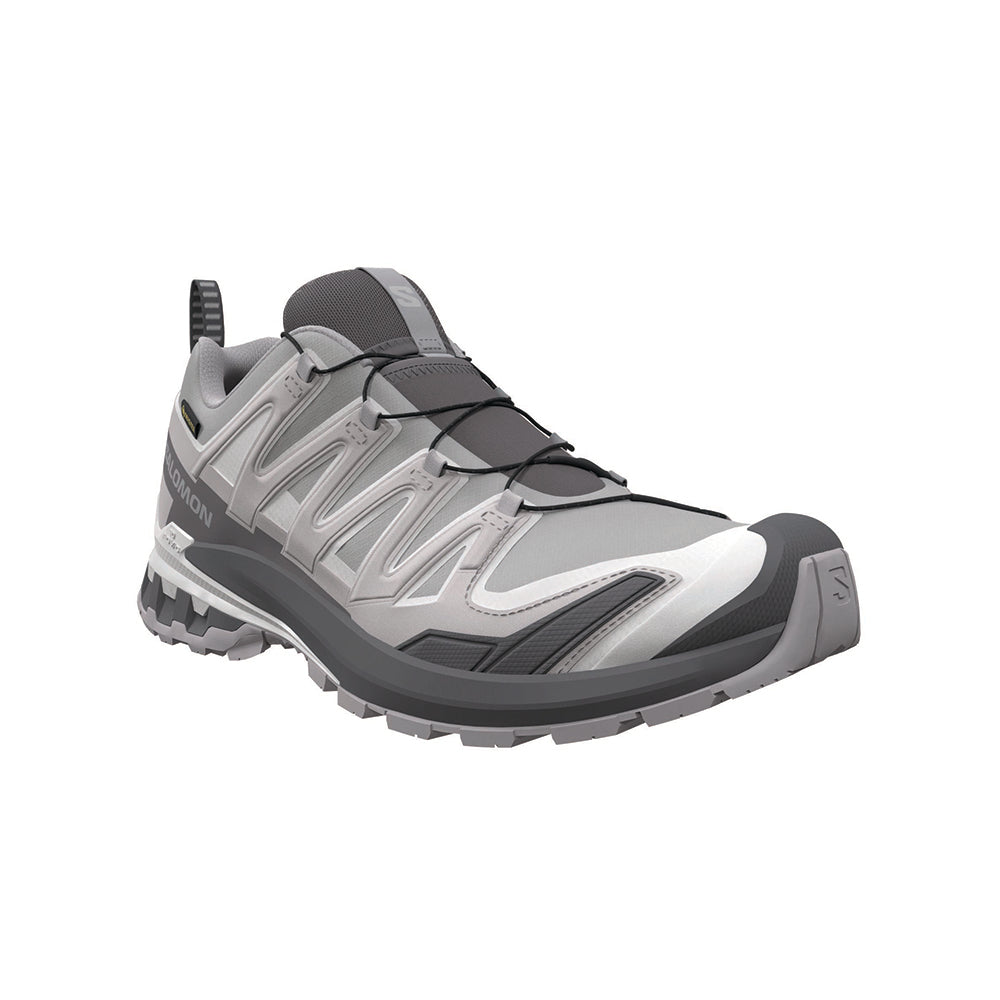 XA PRO 3D V9 GORE-TEX | ALLOY / CA
