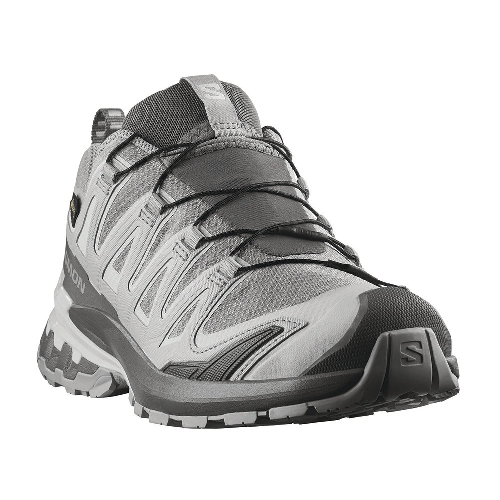 XA PRO 3D V9 GORE-TEX | ALLOY / CA