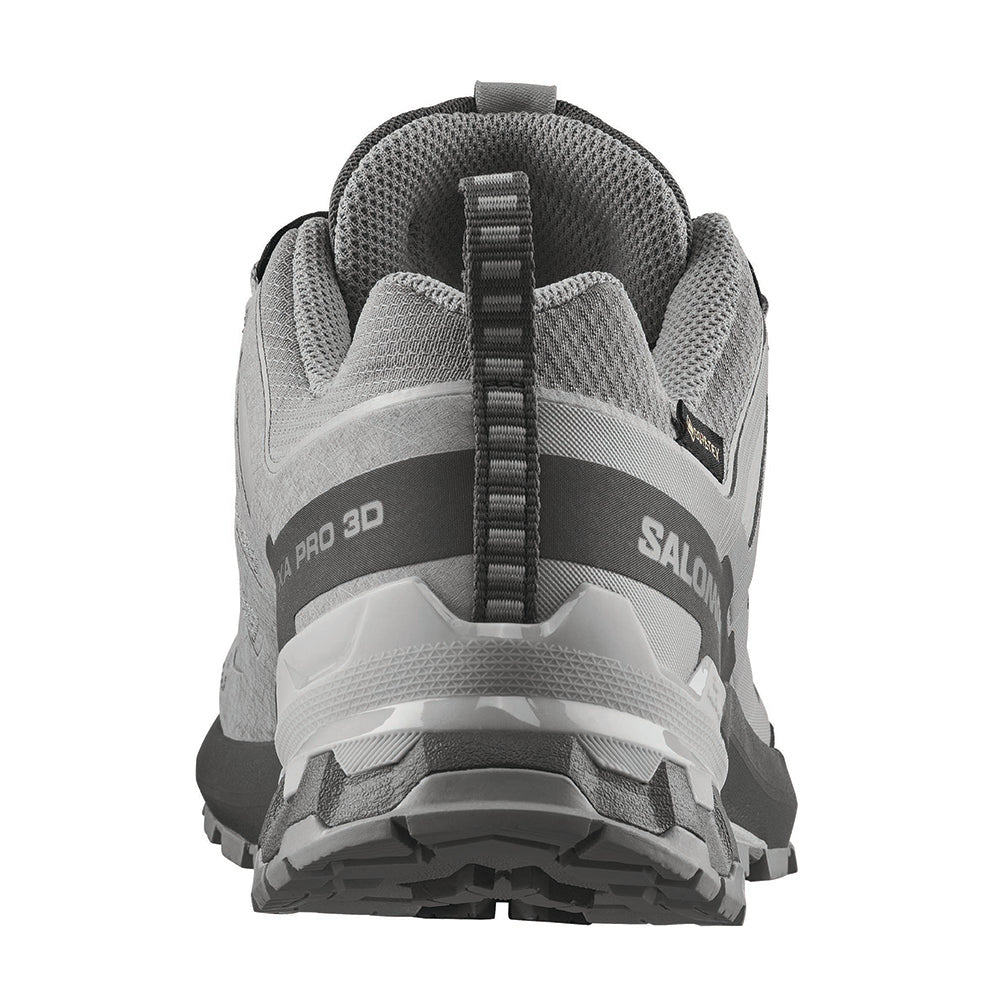 XA PRO 3D V9 GORE-TEX | ALLOY / CA