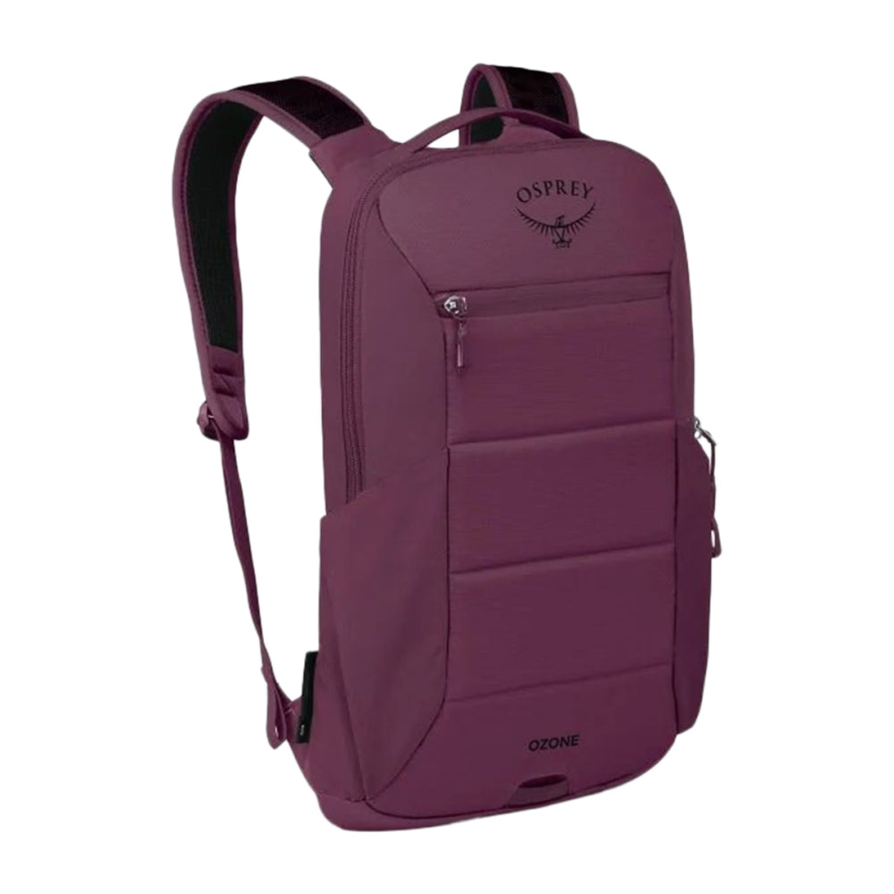 Osprey Ozone Slim Pack Moody Bags in Red Color