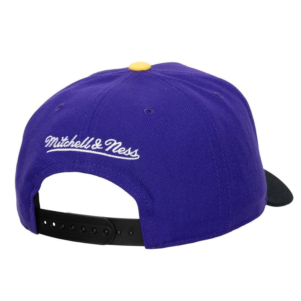 LAL LGNDRY AW PRO SNPBCK | PURPLE
