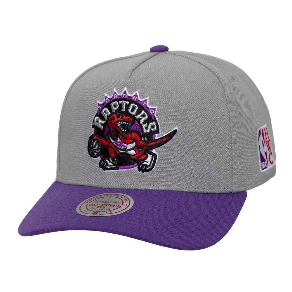 TOR LGNDRY HM PRO SNPBCK | GREY