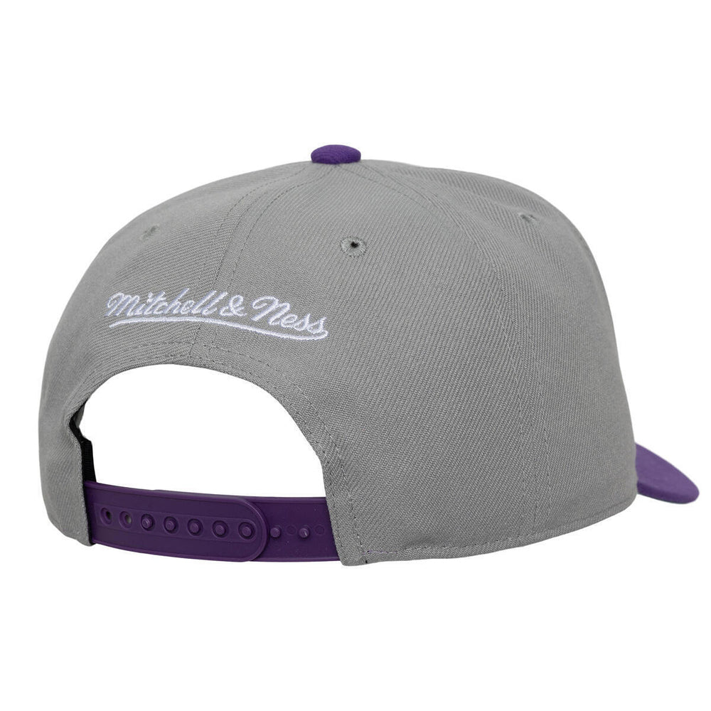 TOR LGNDRY HM PRO SNPBCK | GREY