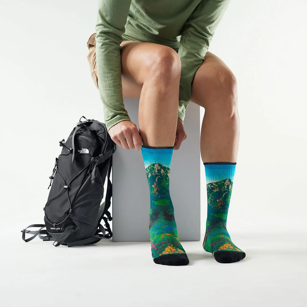 Smartwool Wm'S Hike Targeted Lake Socks in Blue Color