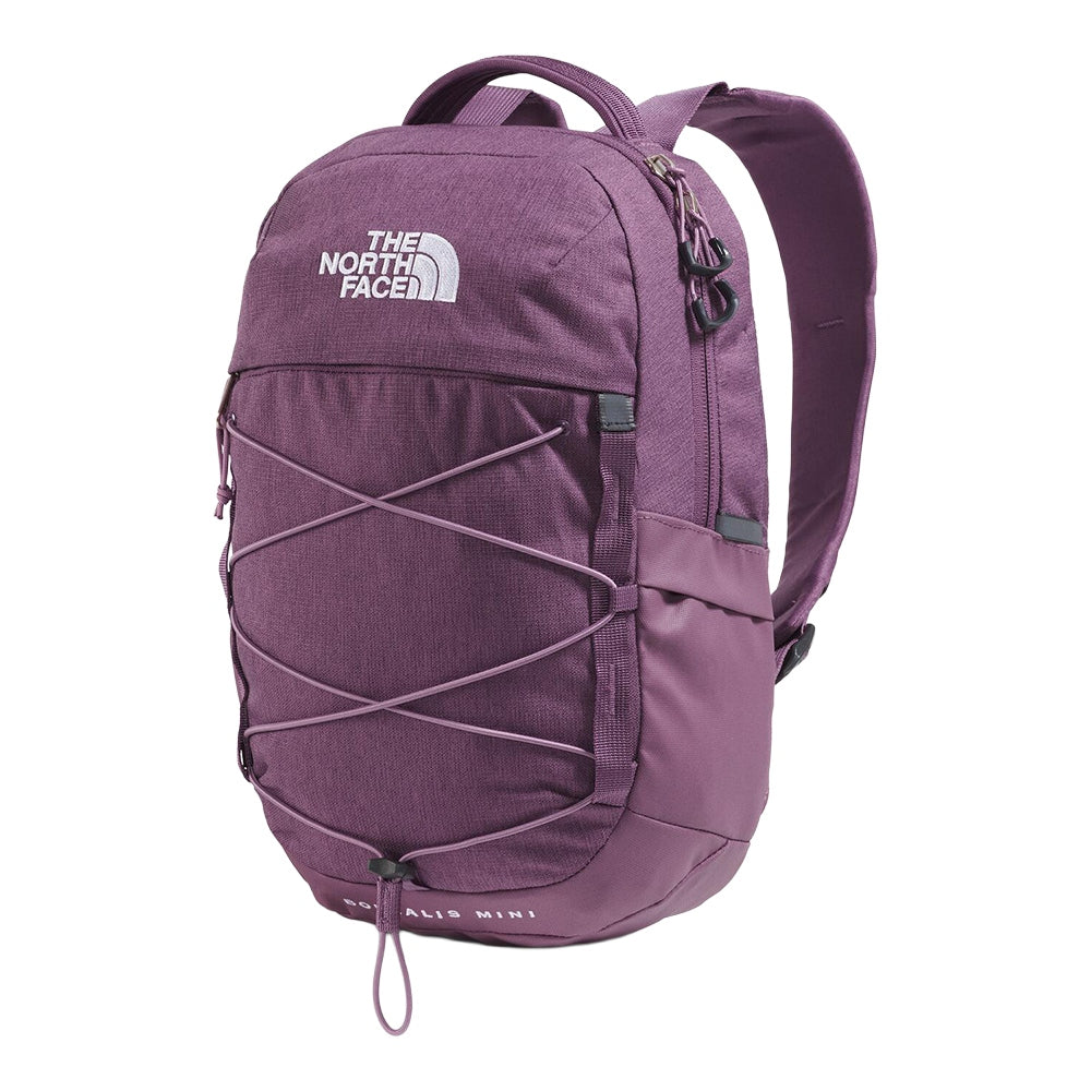 The North Face Borealis Mini Backpack Bags in Purple Color