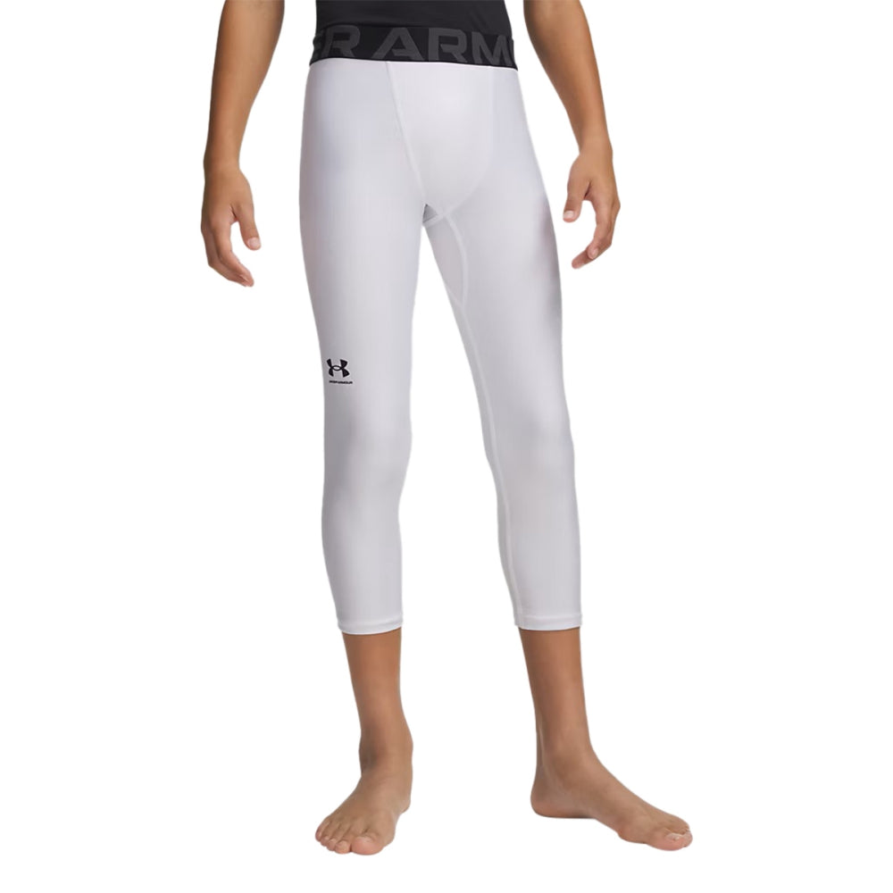 HG HEATGEAR ARMOUR LEGGN | 100-WHITE