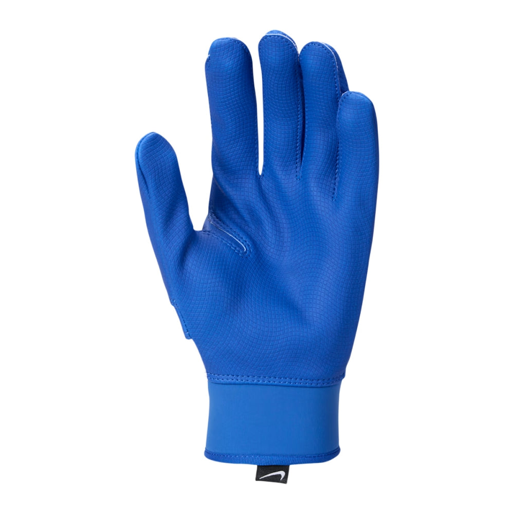 Nike Alpha 2.0 Bg Batting Gloves in White Color
