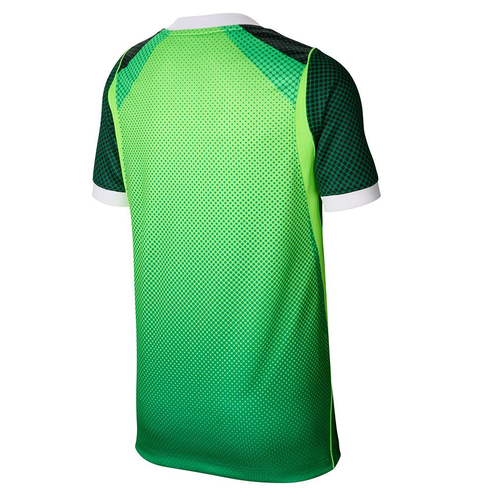 Nike Nigeria 26 Std home Jersey Fan Apparel in Green Color