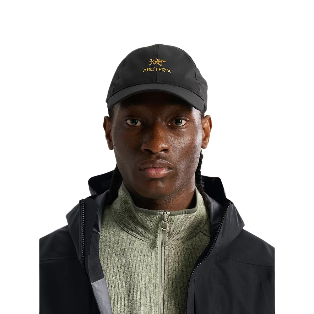 Arc'Teryx Bird Word Cap Hats in Black Color