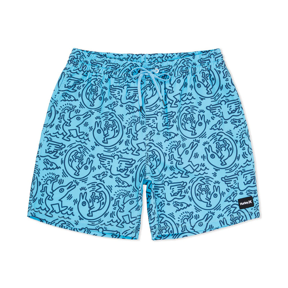 Hurley Kh 17 Cannonball Volly Swimsuits in Blue Color