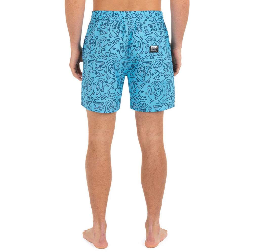 Hurley Kh 17 Cannonball Volly Swimsuits in Blue Color