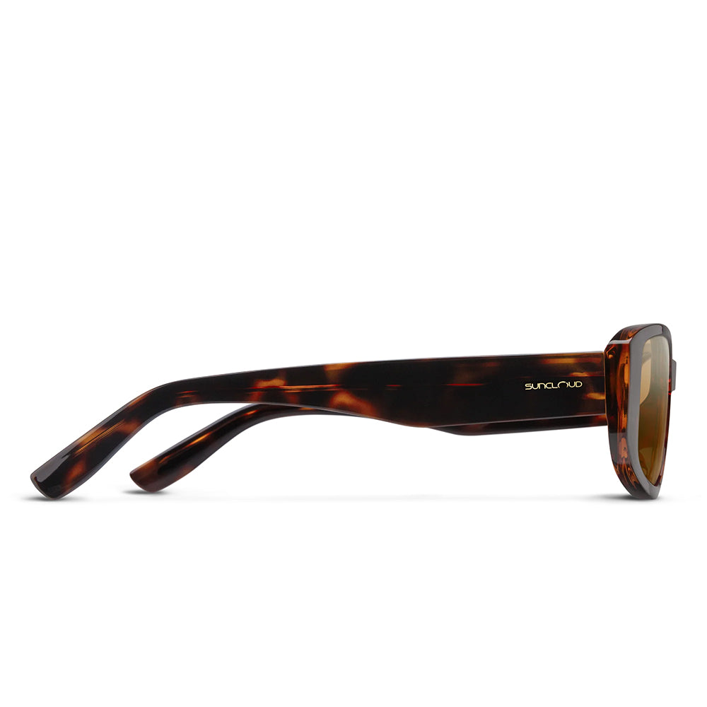 Sun Cloud Lane Accessories in Brown Color