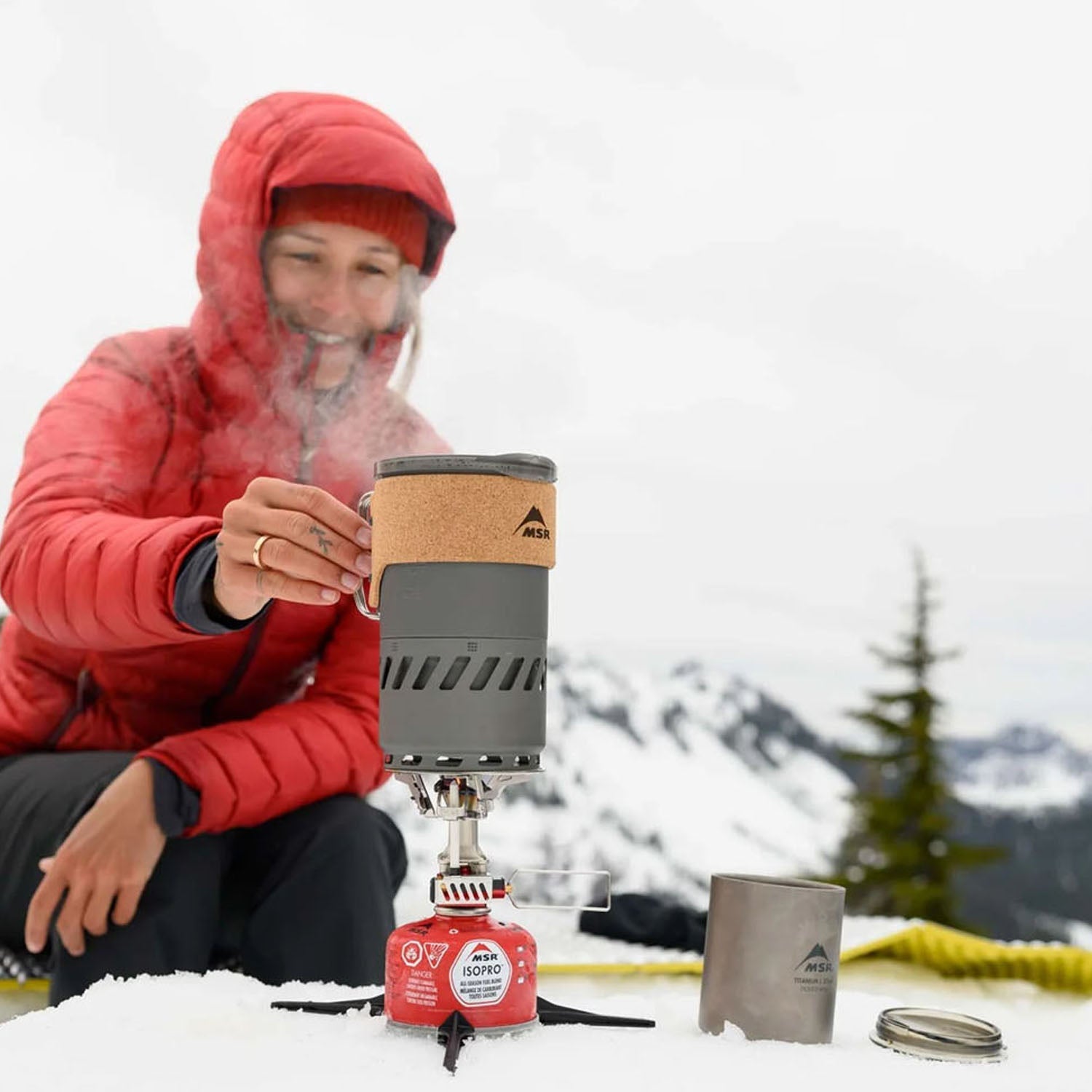 SWITCH SYSTEM STOVE | NONE