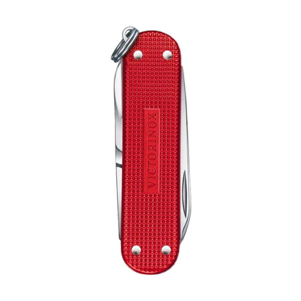 CLASSIC SD ALOX BERRY | BERRY