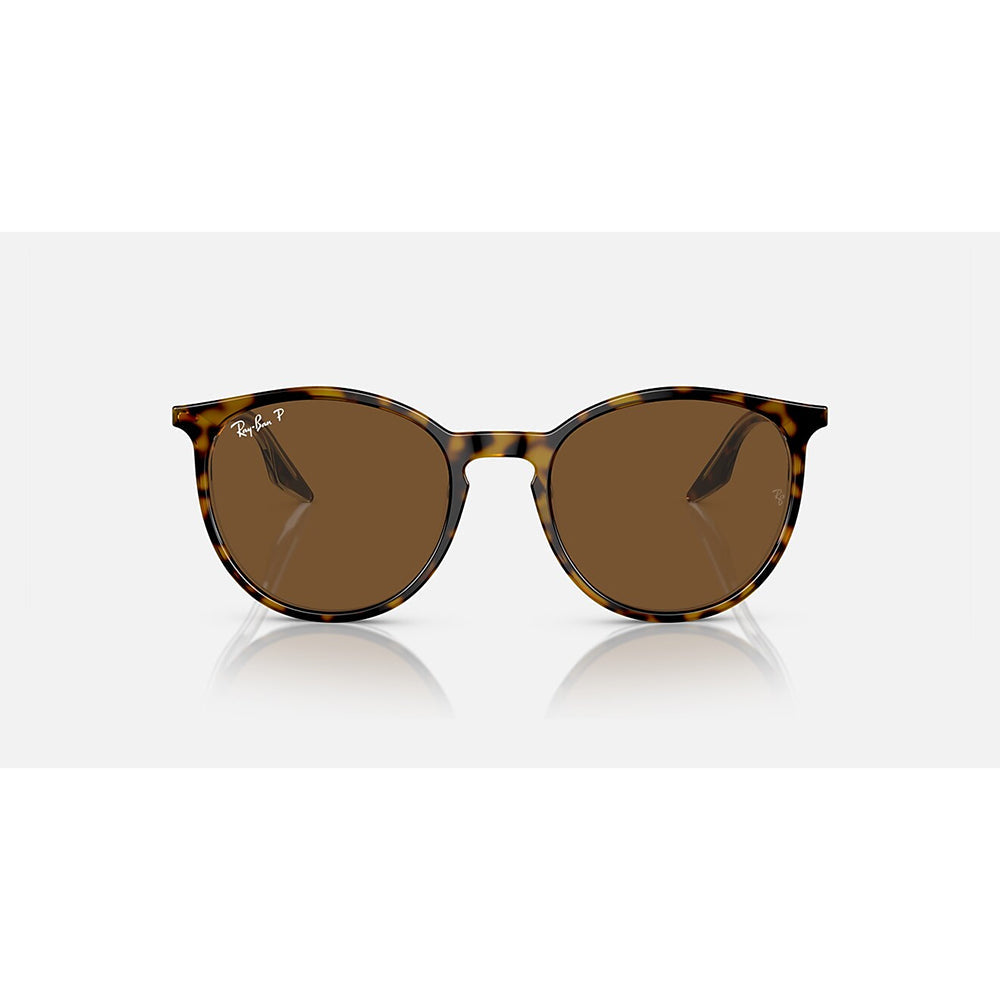 Ray Ban Phantos Havana Brn Polar Accessories in Brown Color