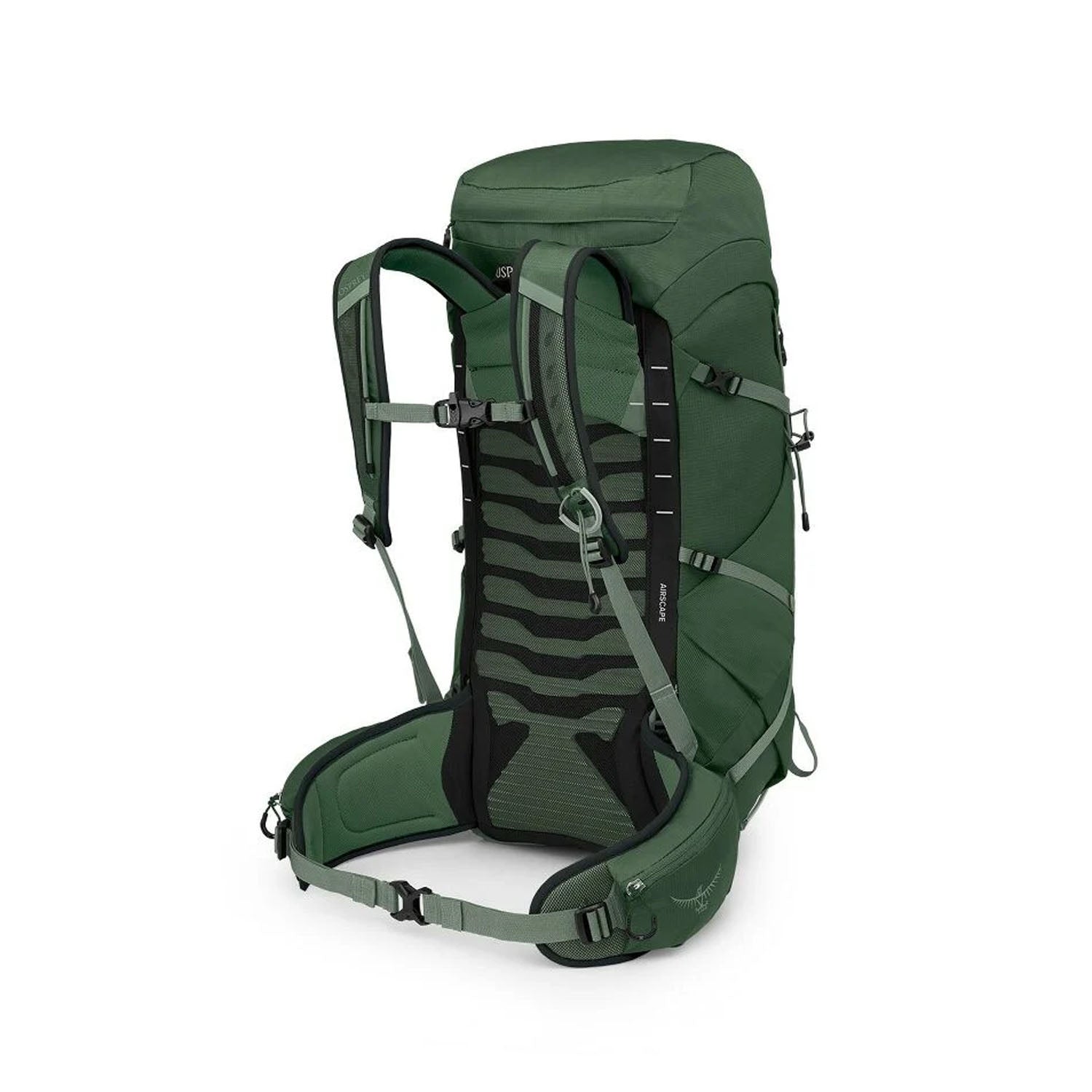 TALON 33 OS | GREEN CANO