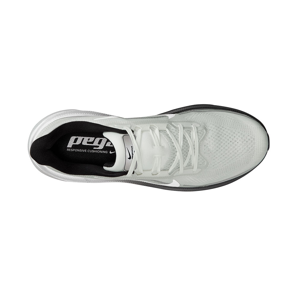 M PEGASUS 42 | 100 SUMMIT