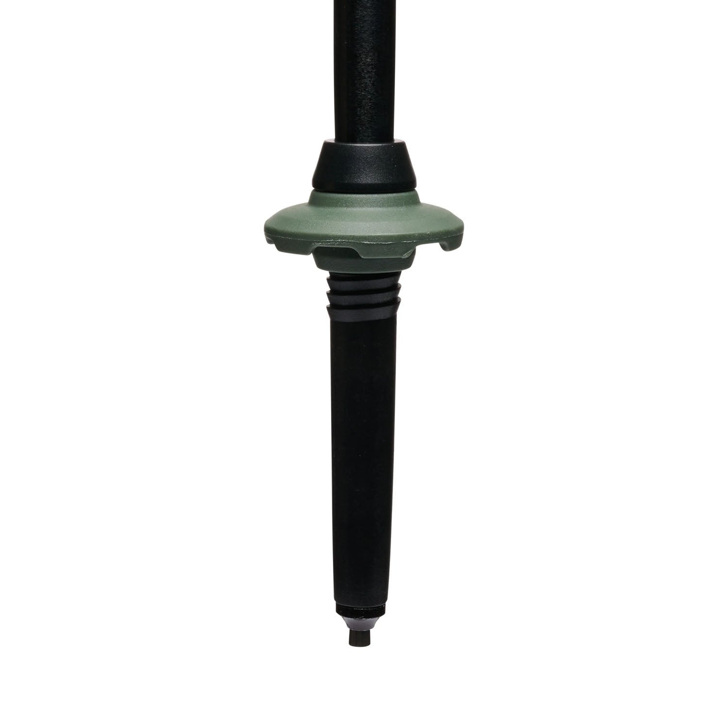 Black Diamond Trail Trekking Poles Hiking Poles in Purple Color