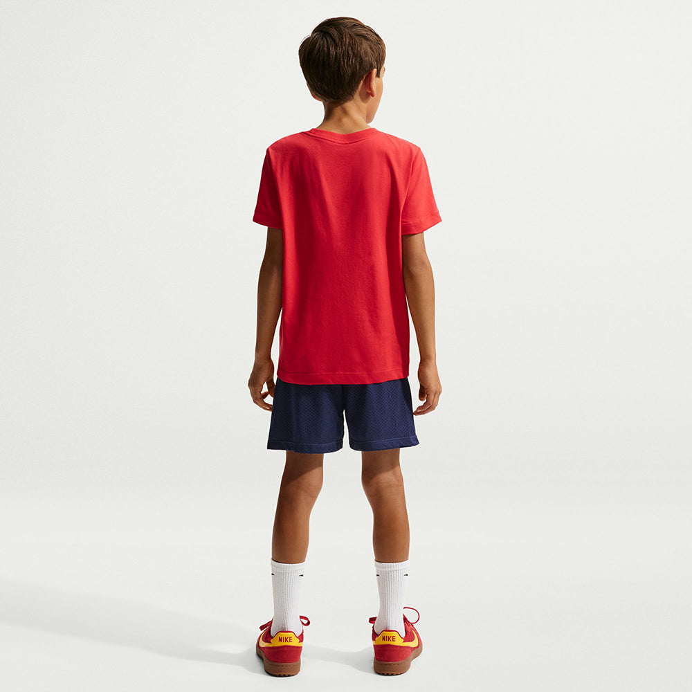Nike Multi Short in Blue Color