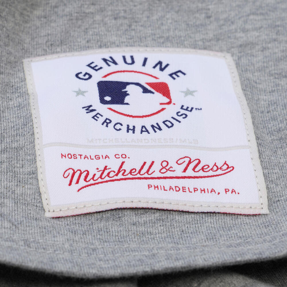 NYY PEP RALLY CROP | GREY