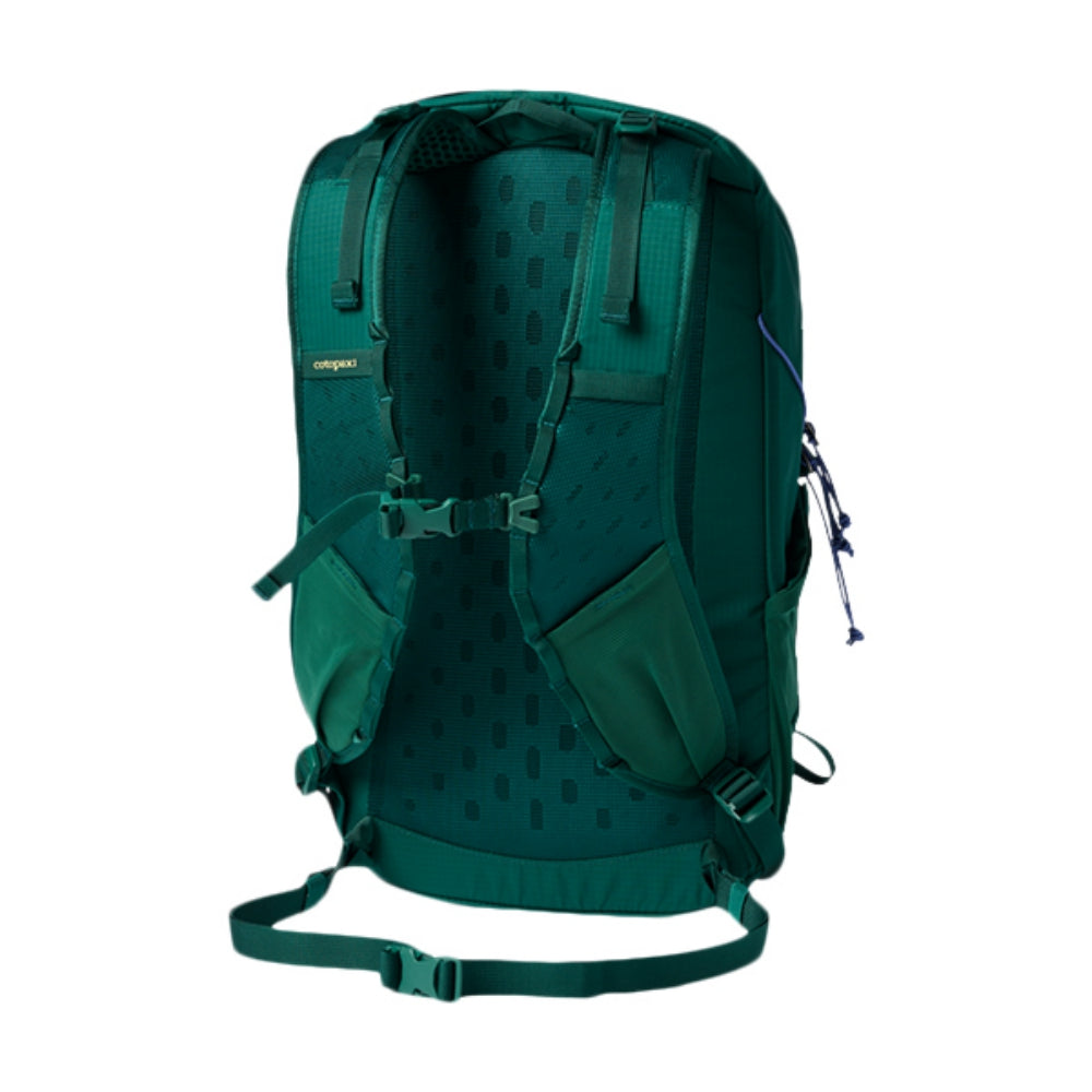 ELQUI 24L BACKPACK | KALE