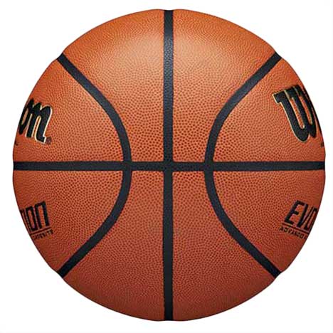 Wilson Unisex Evolution Game Ball Basketballs in Brown Color