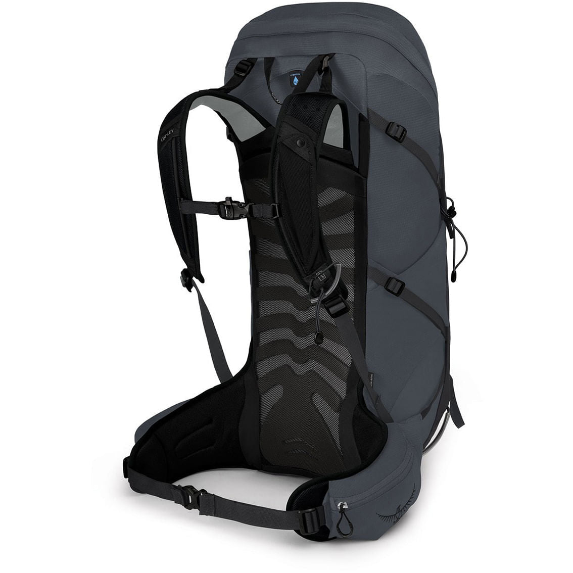 TALON 36 | ECLIPSE GR