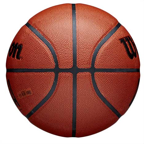 NBA FORGE BASKETBALL | BROWN