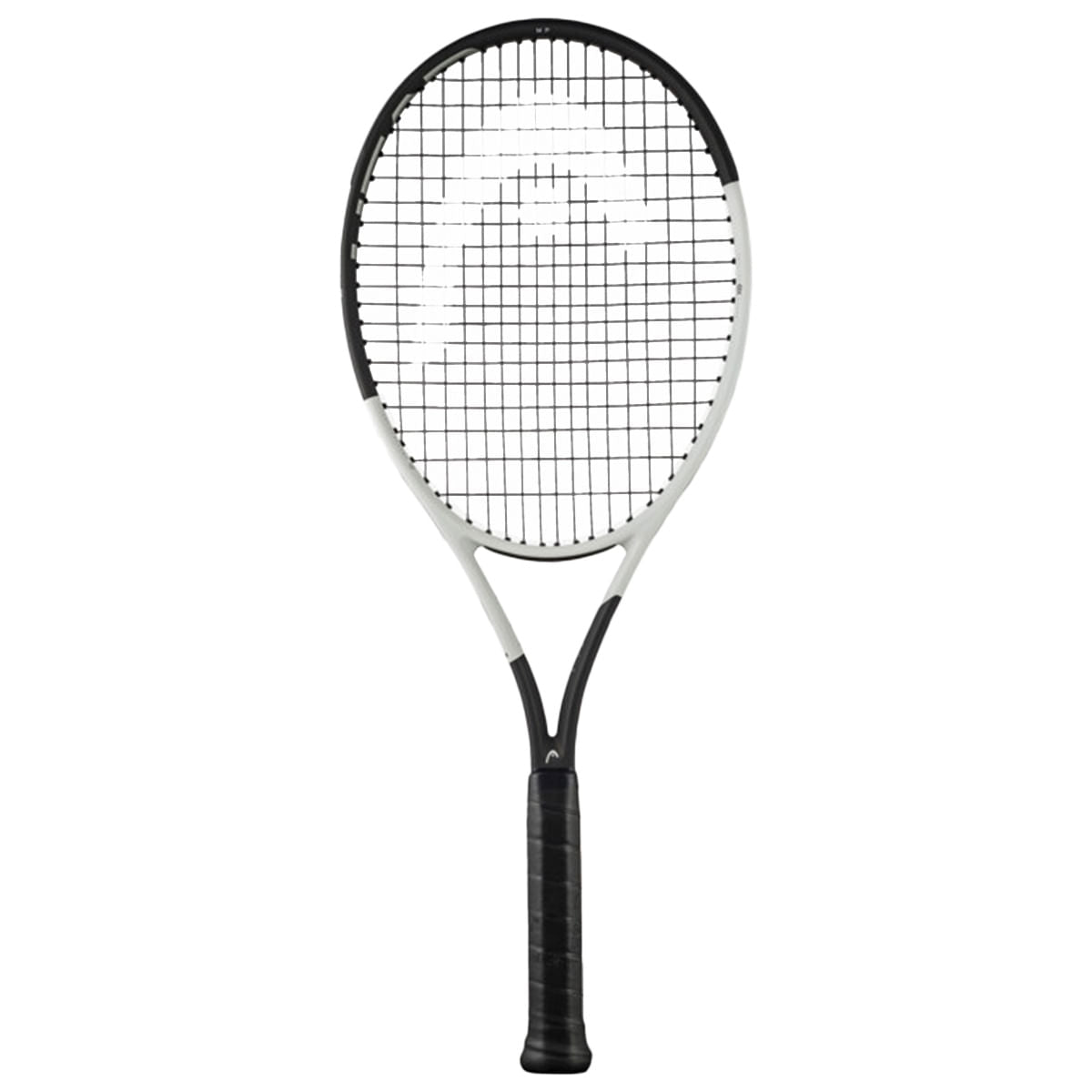 SPEED MP 2024 | MP