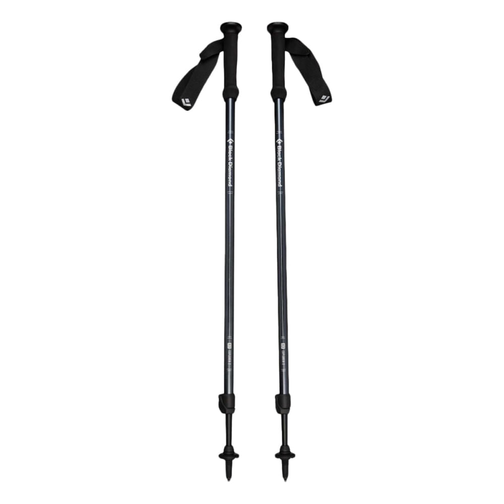 Black Diamond Unisex Explorer 2 Trekking Poles | INK BLUE