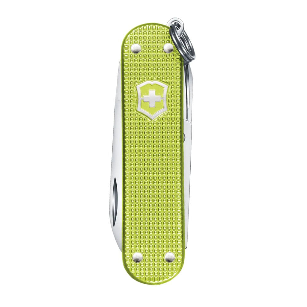 CLASSIC SD PRECIOUS ALOX | 241G LIME