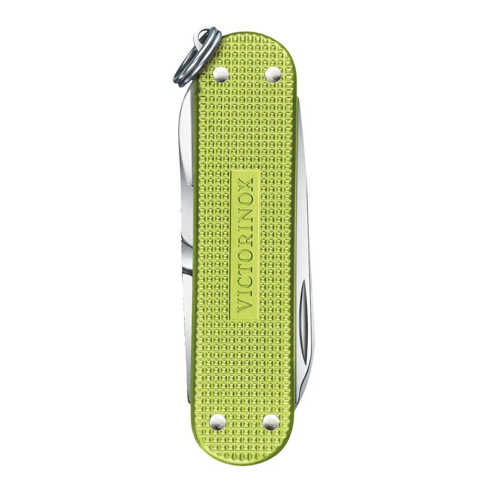 CLASSIC SD PRECIOUS ALOX | 241G LIME