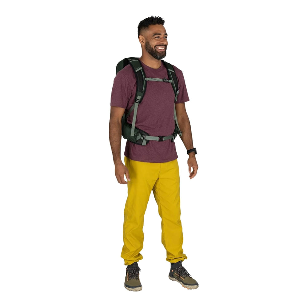 Osprey Talon 22 Pack Bags in Green Color