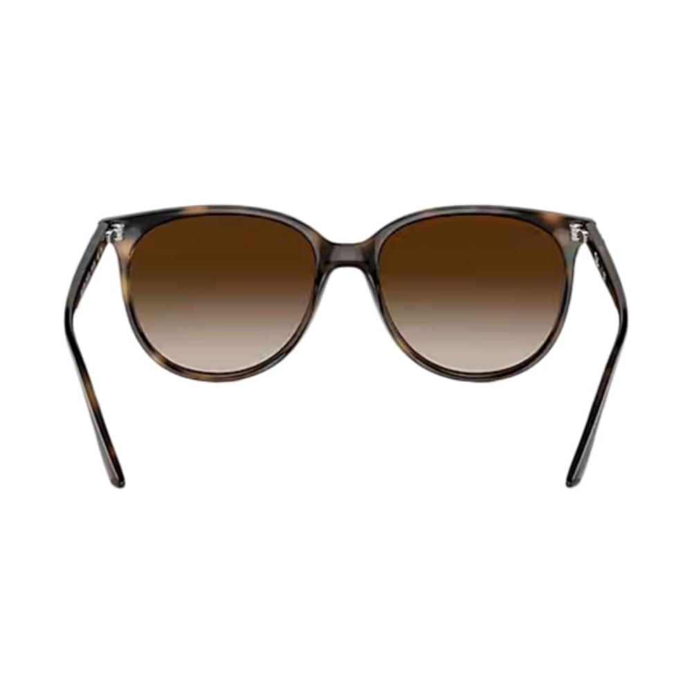 Ray Ban Womens Cats Eye Tort Havana Accessories in Brown Color