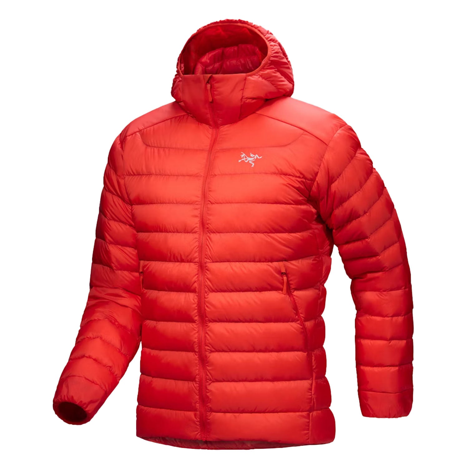 CERIUM HOODY M | DYNASTY