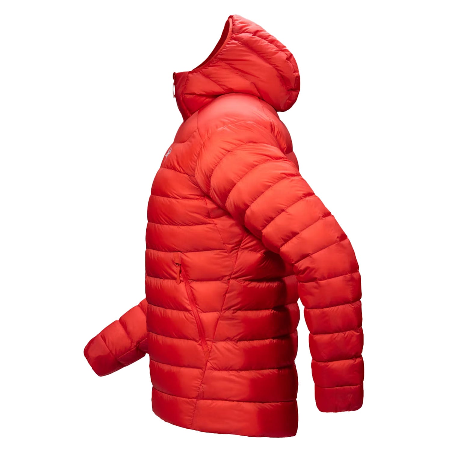 CERIUM HOODY M | DYNASTY