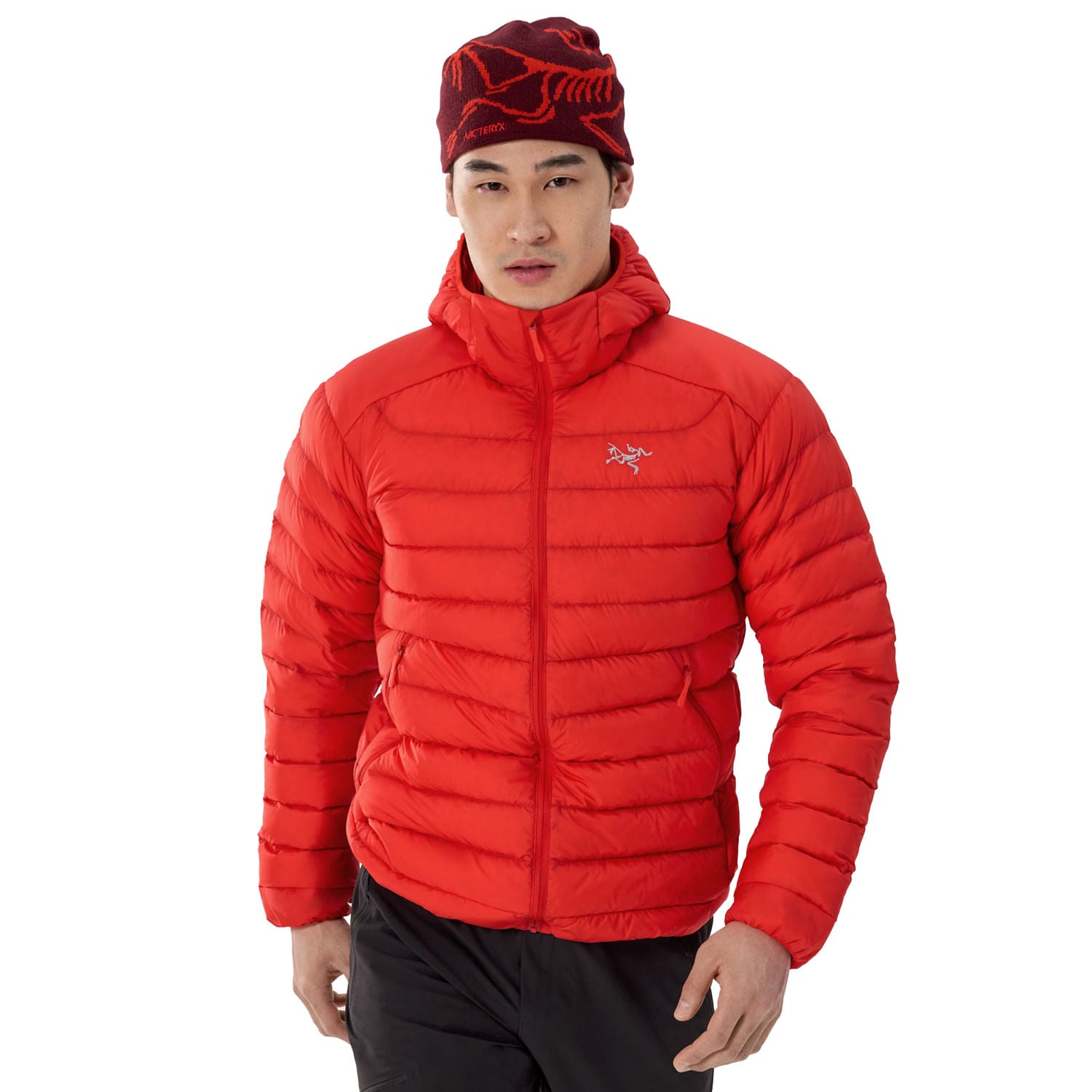 CERIUM HOODY M | DYNASTY