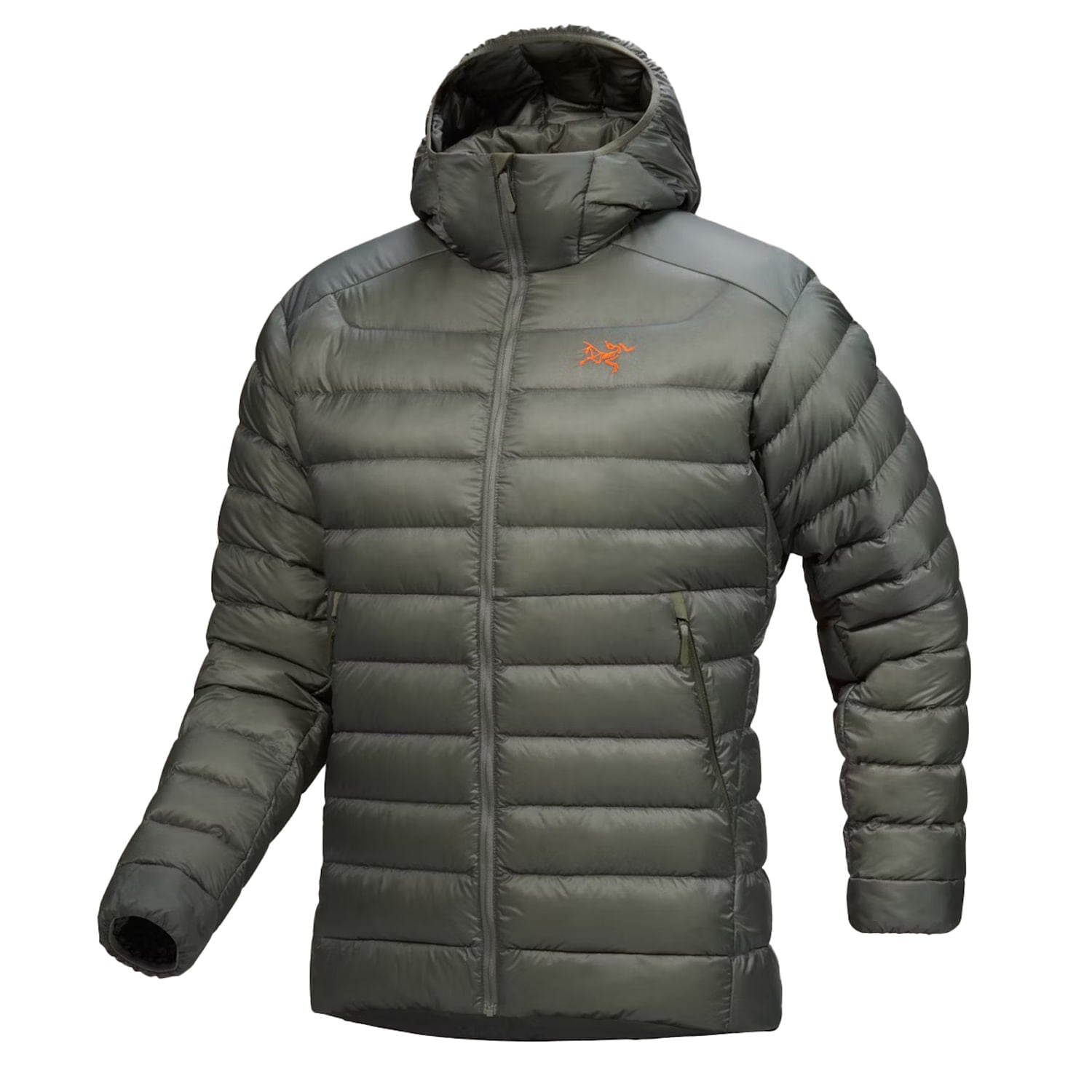 CERIUM HOODY M | FORAGE / V