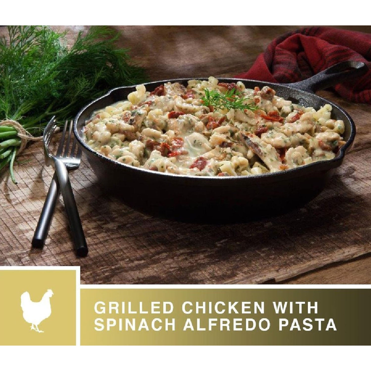 Katadyn Grilled Chicken With Food in No Color