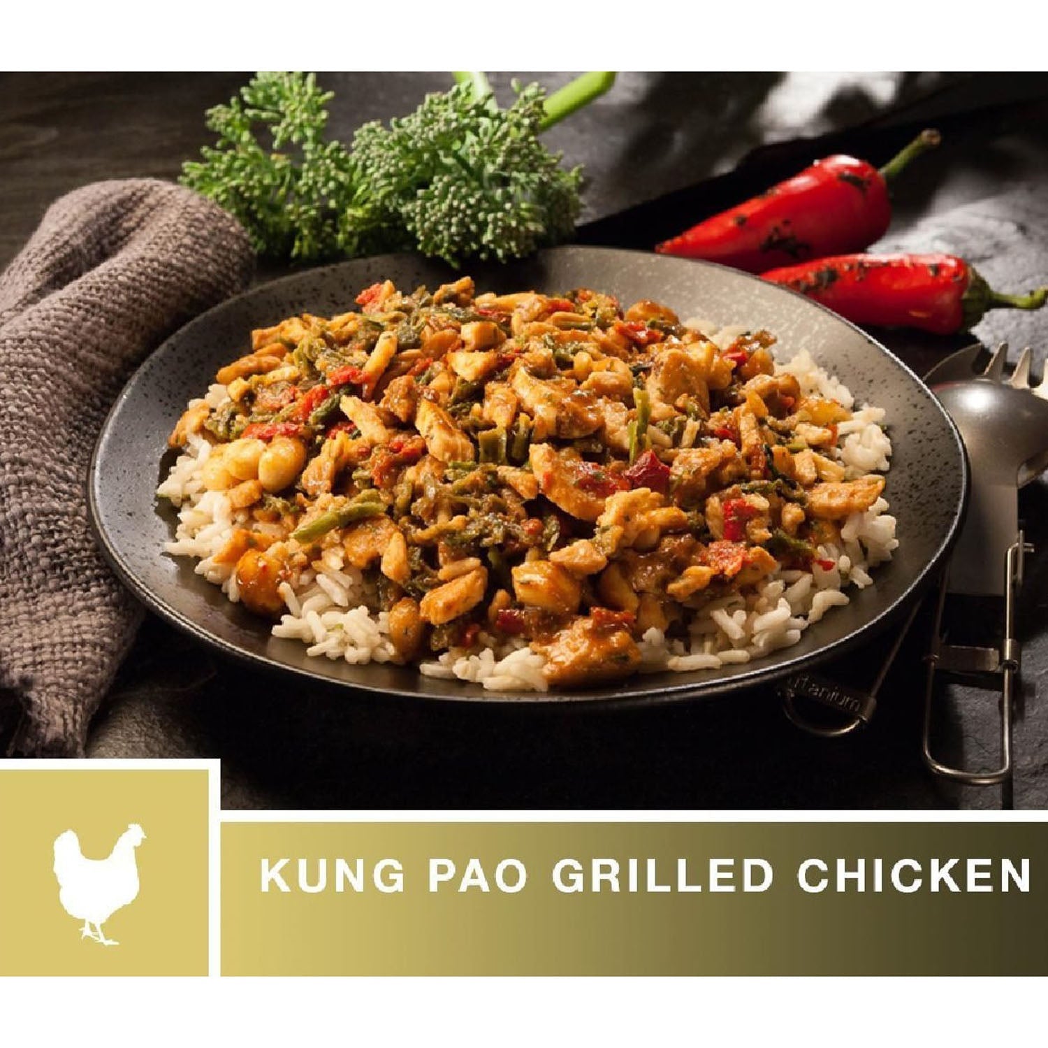 Katadyn Kung Pao Grilled Chicken Food in No Color