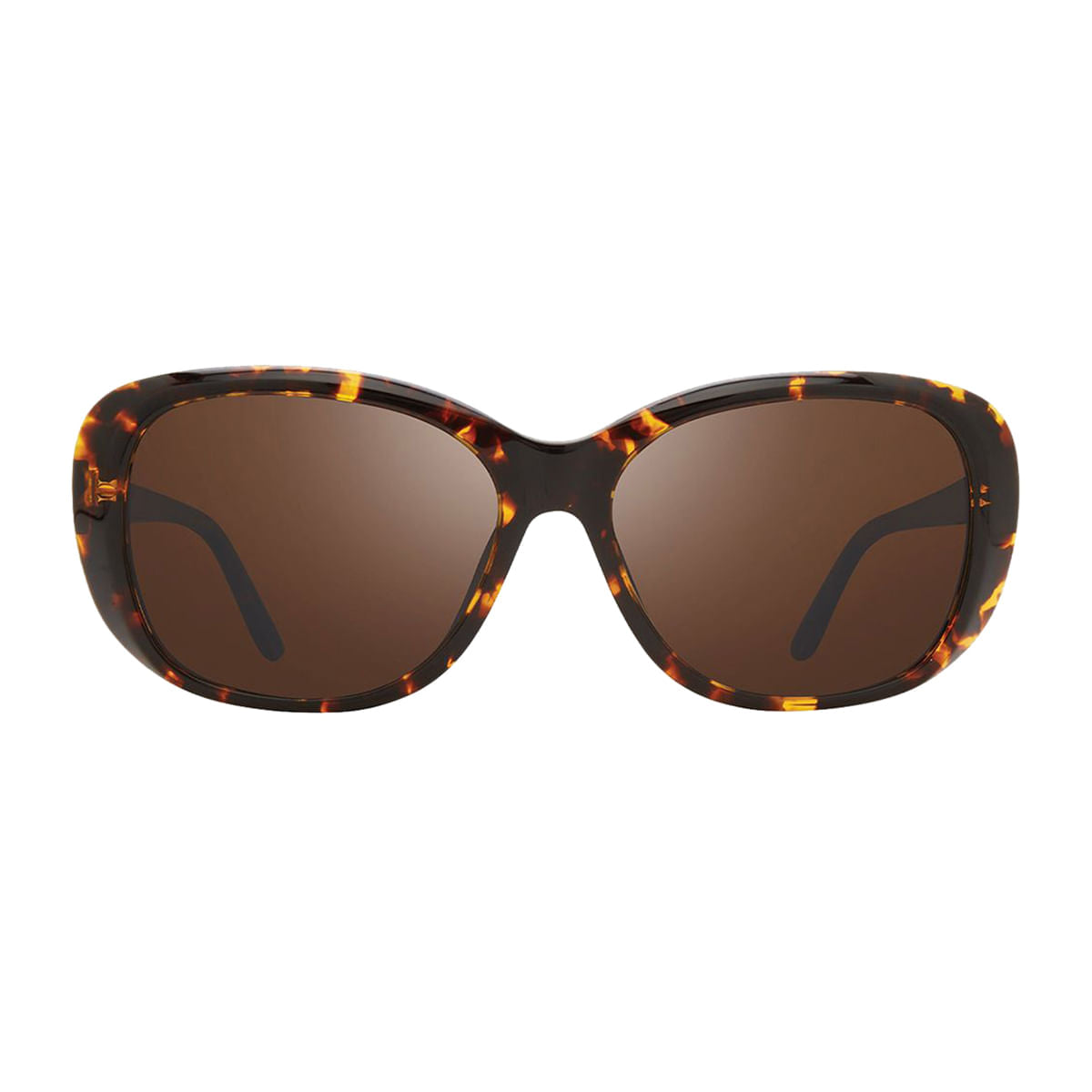 SAMMY TORTOISE | TERRA