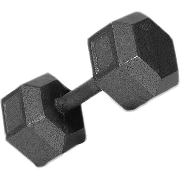 Troy Barbell 15Lb C/I Solid Db Fitness Weights in Grey Color