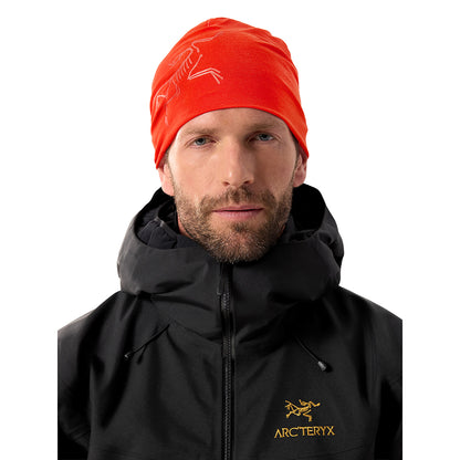 SATORO MERINO TOQUE | DYNASTY