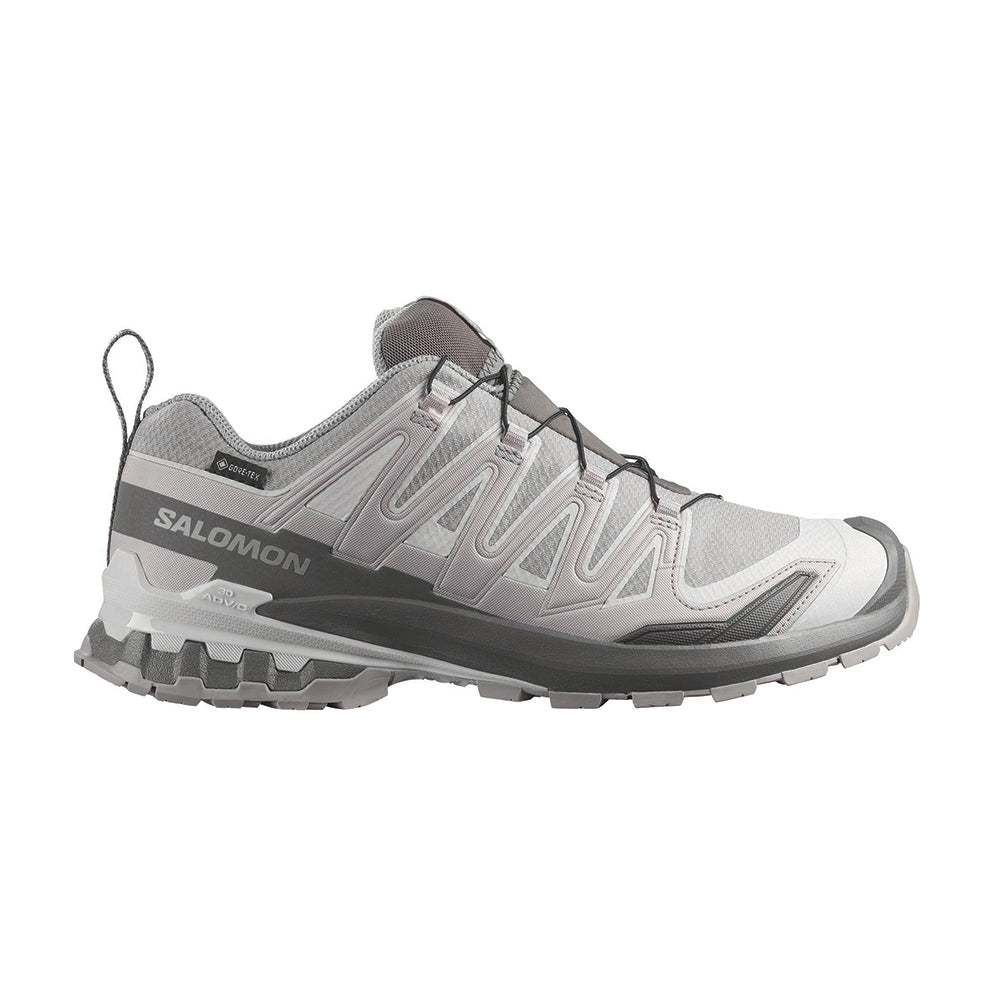 XA PRO 3D V9 GORE-TEX | ALLOY / CA