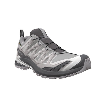 XA PRO 3D V9 GORE-TEX | ALLOY / CA