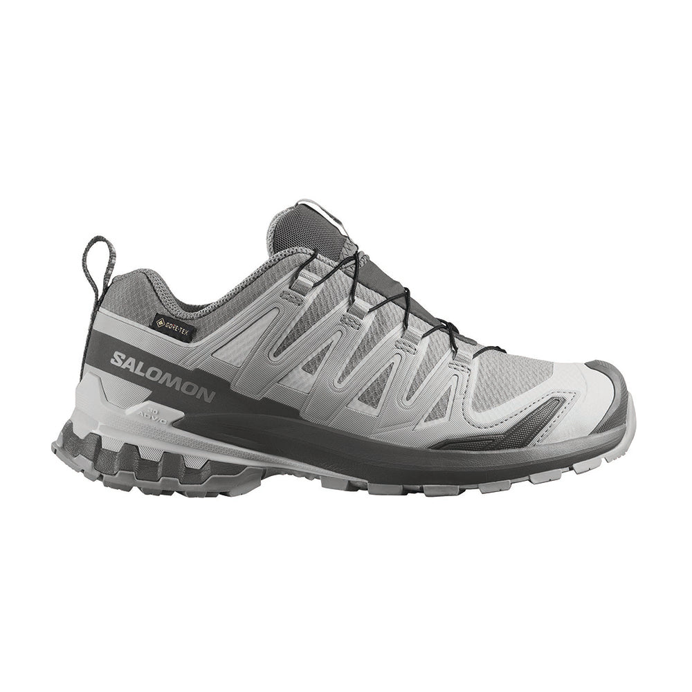 XA PRO 3D V9 GORE-TEX | ALLOY / CA