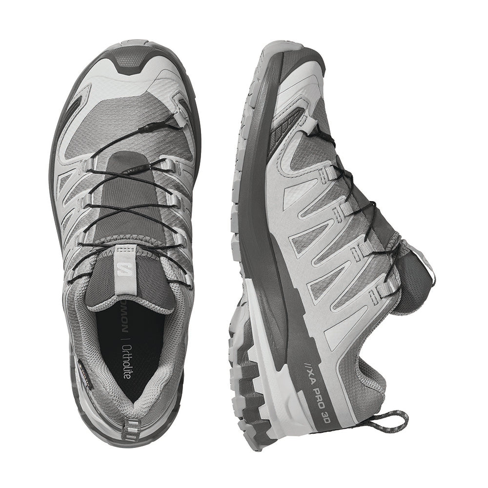 XA PRO 3D V9 GORE-TEX | ALLOY / CA