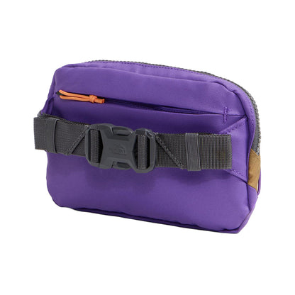 The North Face Terra Lumbar1L Bags in Brown Color