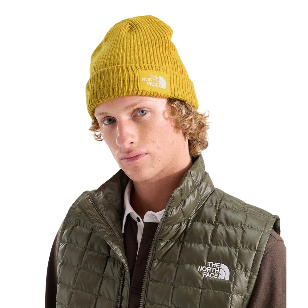 SALTY LINED BEANIE | NO7-PIGMEN